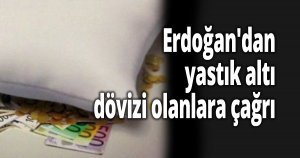 Erdoğan'dan yastık altı dövizi olanlara çağrı
