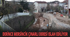DERİNCE MERSİNCİK ÇINARLI DERESİ ISLAH EDİLİYOR