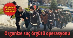 Organize suç örgütü üyeleri eş zamanlı operasyonla yakalandı