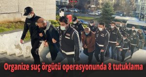 Dağlı Kardeşler ve Pitbull Çetesi operasyonunda 8 tutuklama