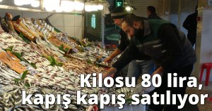 Kilosu 80 lira, kapış kapış satılıyor