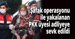 Şafak operasyonu ile yakalanan PKK üyesi adliyeye sevk edildi