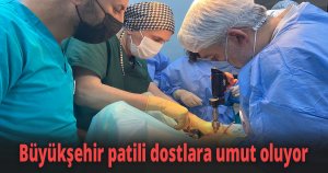 Büyükşehir patili dostlara umut oluyor