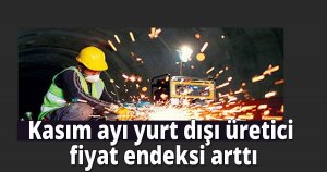 Kasım ayı yurt dışı üretici fiyat endeksi arttı
