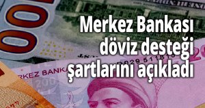 Merkez Bankası döviz desteği şartlarını açıkladı