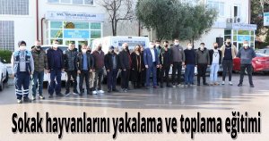 Sokak hayvanlarını yakalama ve toplama eğitimi