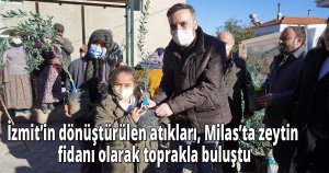 İzmit’in dönüştürülen atıkları, Milas’ta zeytin fidanı olarak toprakla buluştu