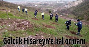 Gölcük Hisareyn’e bal ormanı