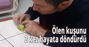 Ölen kuşunu 2 kez hayata döndürdü