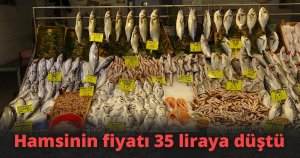 Kar yağdı, fiyatı 65 liraya geriledi
