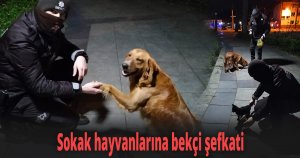 Sokak hayvanlarına bekçi şefkati
