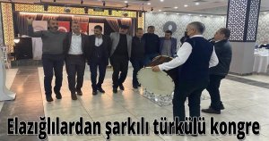 Elazığlılardan şarkılı türkülü kongre