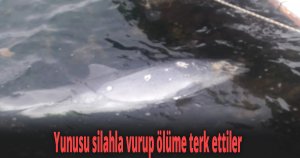 Kocaeli’de kan donduran görüntü