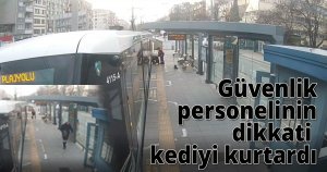 Güvenlik personelinin dikkati kediyi kurtardı