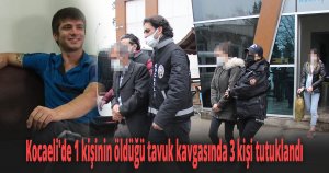 Kocaeli'de 1 kişinin öldüğü tavuk kavgasında 3 kişi tutuklandı