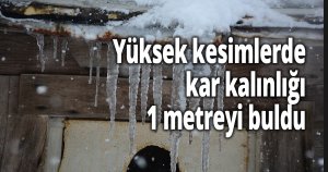 Kocaeli'nin kırsal mahalleleri beyaza büründü