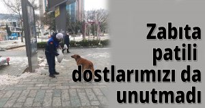    Zabıta patili dostlarımızı da unutmadı
