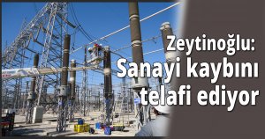 Zeytinoğlu: Sanayi kaybını telafi ediyor