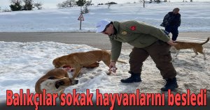  Balıkçılar sokak hayvanlarını besledi