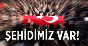 Şehidimiz var
