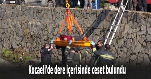 Kocaeli'de dere içerisinde ceset bulundu