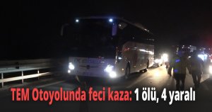 TEM Otoyolunda feci kaza