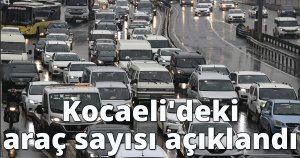 Kocaeli'deki araç sayısı açıklandı