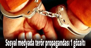 Sosyal medyada terör propagandası