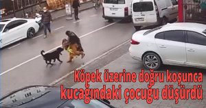 Köpek üzerine doğru koşunca kucağındaki çocuğu düşürdü