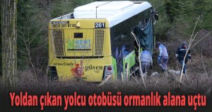 Yoldan çıkan yolcu otobüsü ormanlık alana uçtu