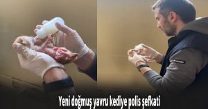 Yeni doğmuş yavru kediye polis şefkati