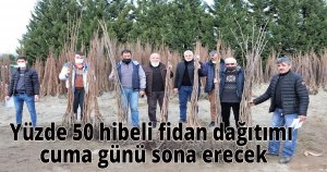  Büyükşehir’in, yüzde 50 hibeli fidan dağıtımı cuma günü sona erecek