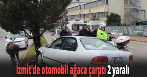 İzmit'de otomobil ağaca çarptı