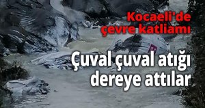 Kocaeli'de çevre katliamı