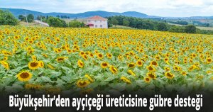 Büyükşehir’den ayçiçeği üreticisine gübre desteği