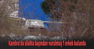 Kandıra'da silahla başından vurulmuş erkek cesedi bulundu