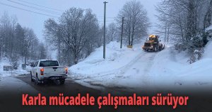 Kocaeli'de karla mücadele çalışmaları sürüyor