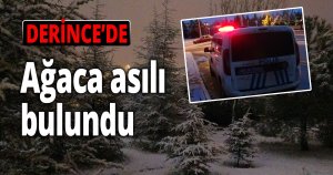 Kocaeli'de ağaca asılı halde erkek cesedi bulundu