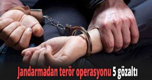 Jandarmadan terör operasyonu
