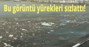 Bu görüntü yürekleri sızlattı!