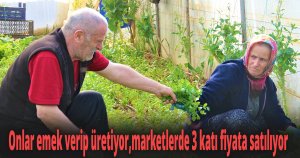 Karı-koca serada yıllardır beraber kazma sallıyor