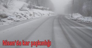 Nisan'da kar şaşkınlığı
