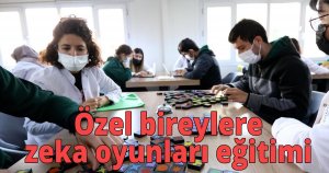  Özel bireylere zeka oyunları eğitimi