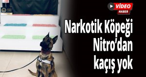 Yolcu otobüsünde 29 bin uyuşturucu hap ele geçirildi