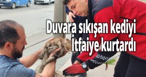 Duvara sıkışan kediyi Büyükşehir İtfaiyesi kurtardı