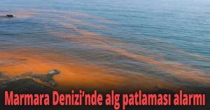 Marmara Denizi’nde alg patlaması alarmı