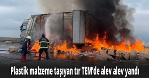 Plastik malzeme taşıyan tır TEM’de alev alev yandı