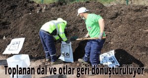 Toplanan dal ve otlar geri dönüştürülüyor