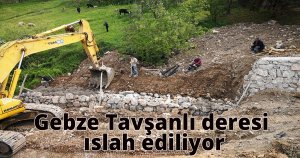 Gebze Tavşanlı deresi ıslah ediliyor