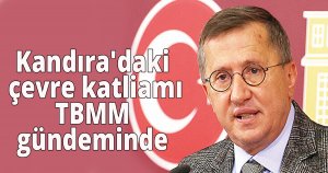 Kandıra'daki çevre katliamı TBMM gündeminde